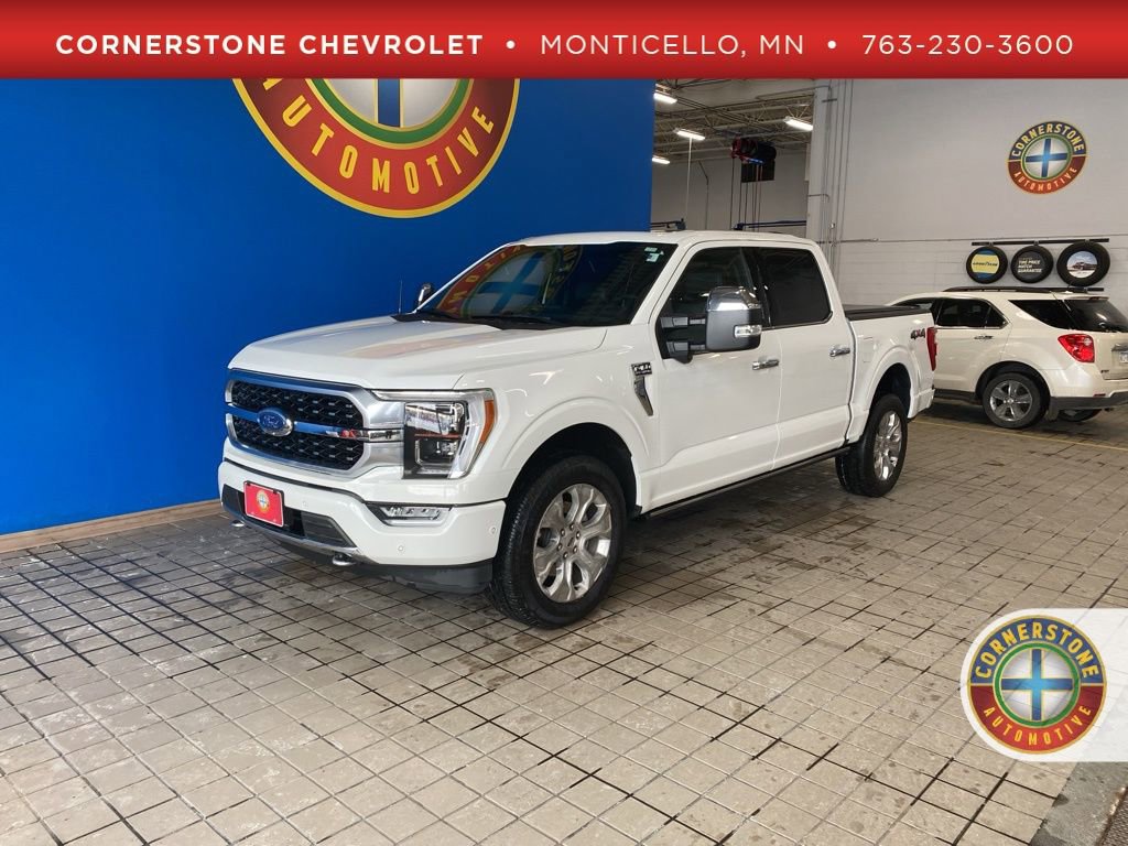 2021 Ford F-150 Platinum's photo