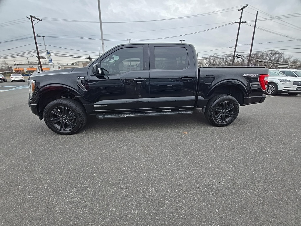 2021 Ford F-150 Lariat's photo