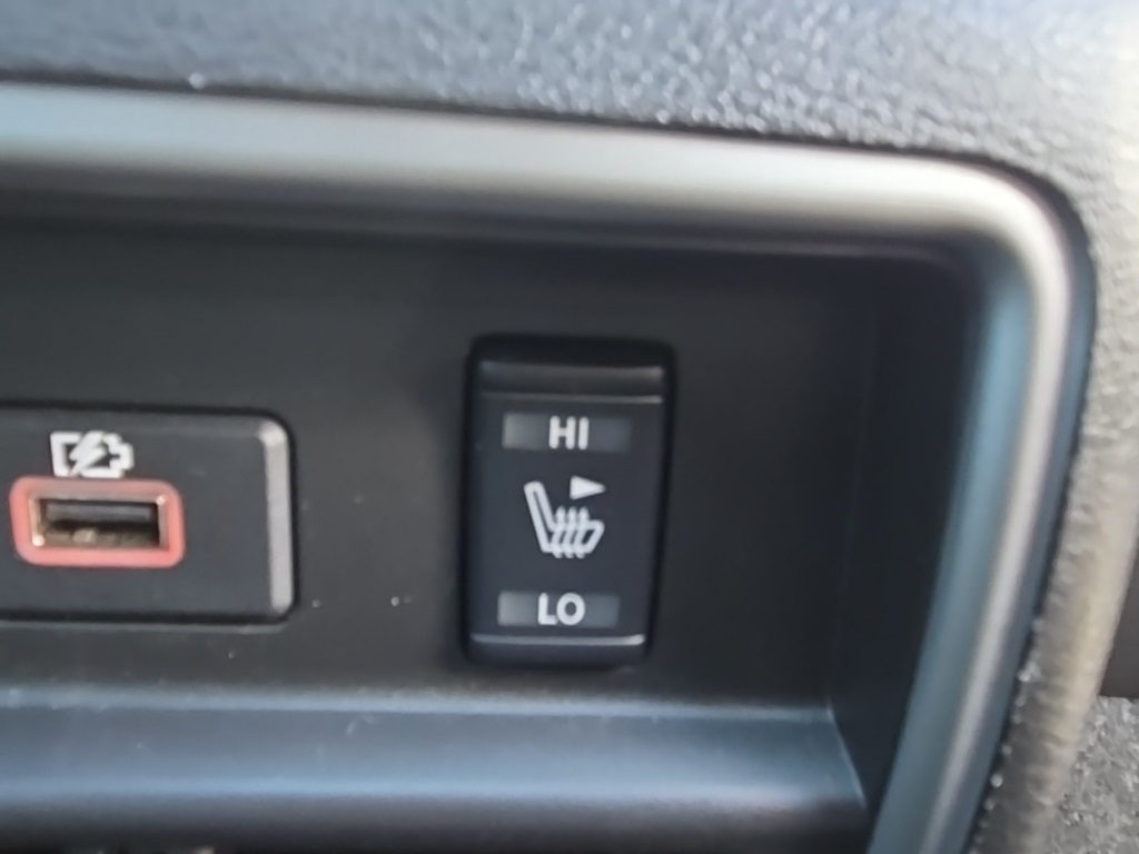 2020 Nissan Murano Platinum photo 33
