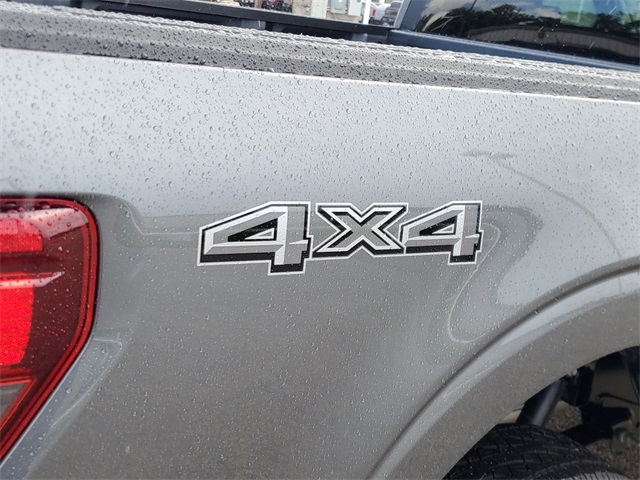 2025 Ford F-150 XL photo 6