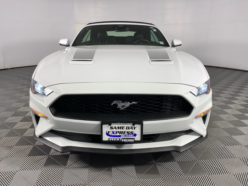 2022 Ford Mustang EcoBoost Premium photo 2