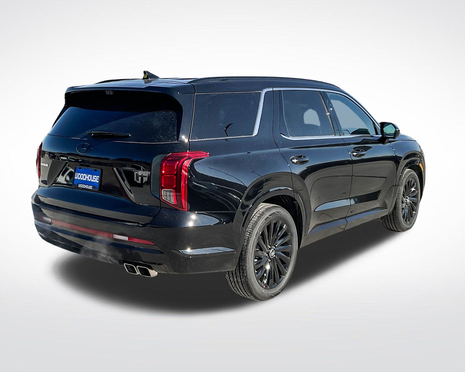 2025 Hyundai Palisade Calligraphy photo 2