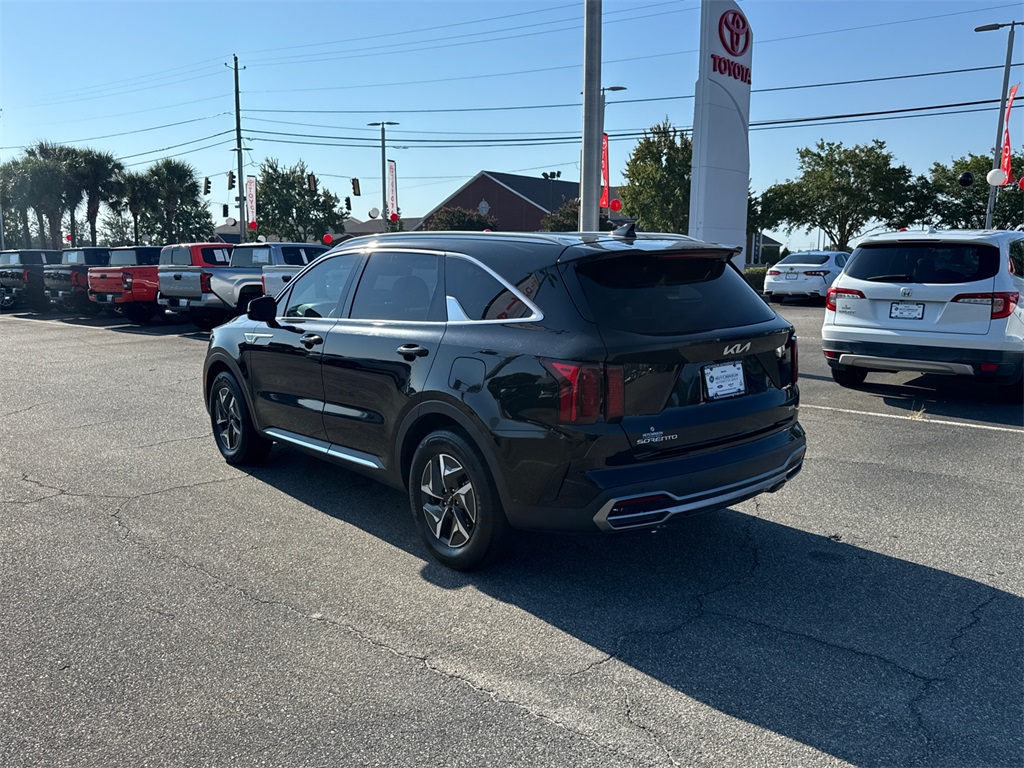 2023 Kia Sorento Hybrid EX photo 5