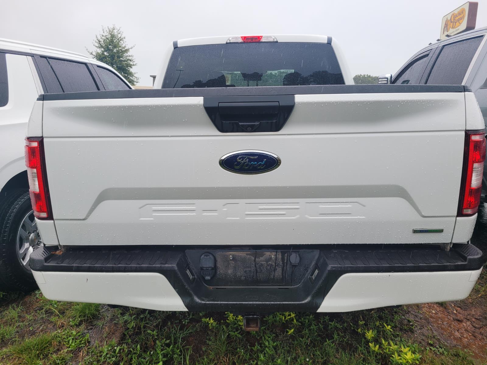 2019 Ford F-150 XL photo 7