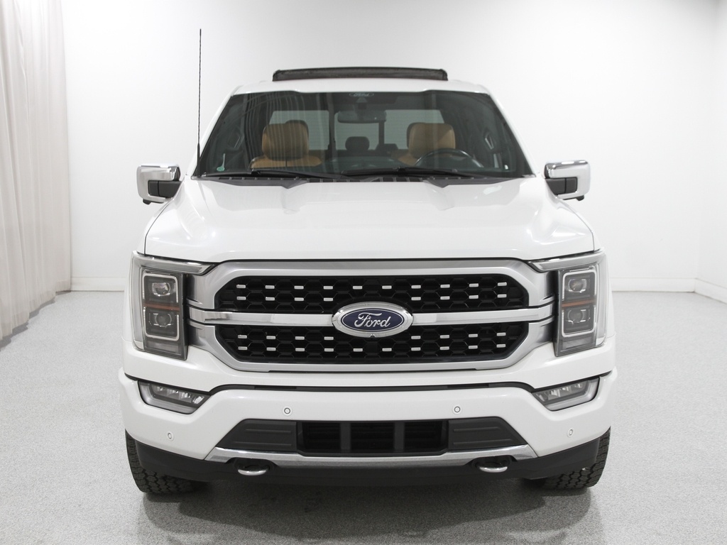 2021 Ford F-150 Platinum photo 2