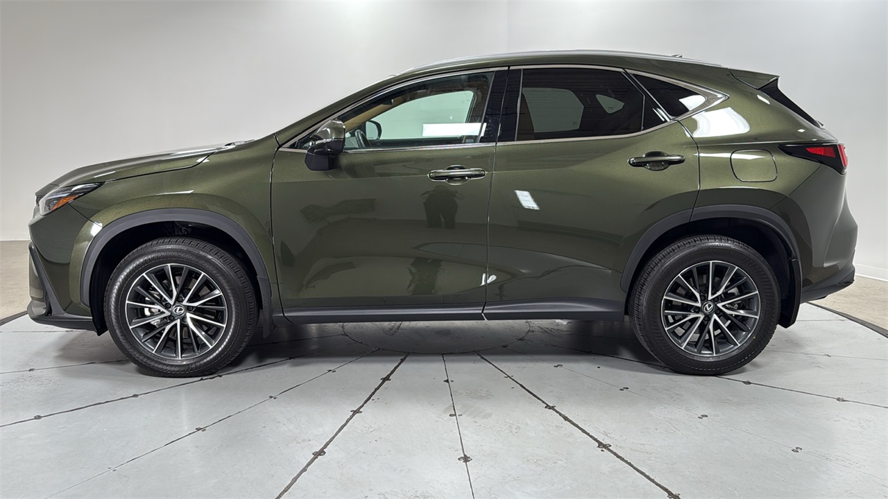 2024 Lexus NX 350 Luxury photo 6