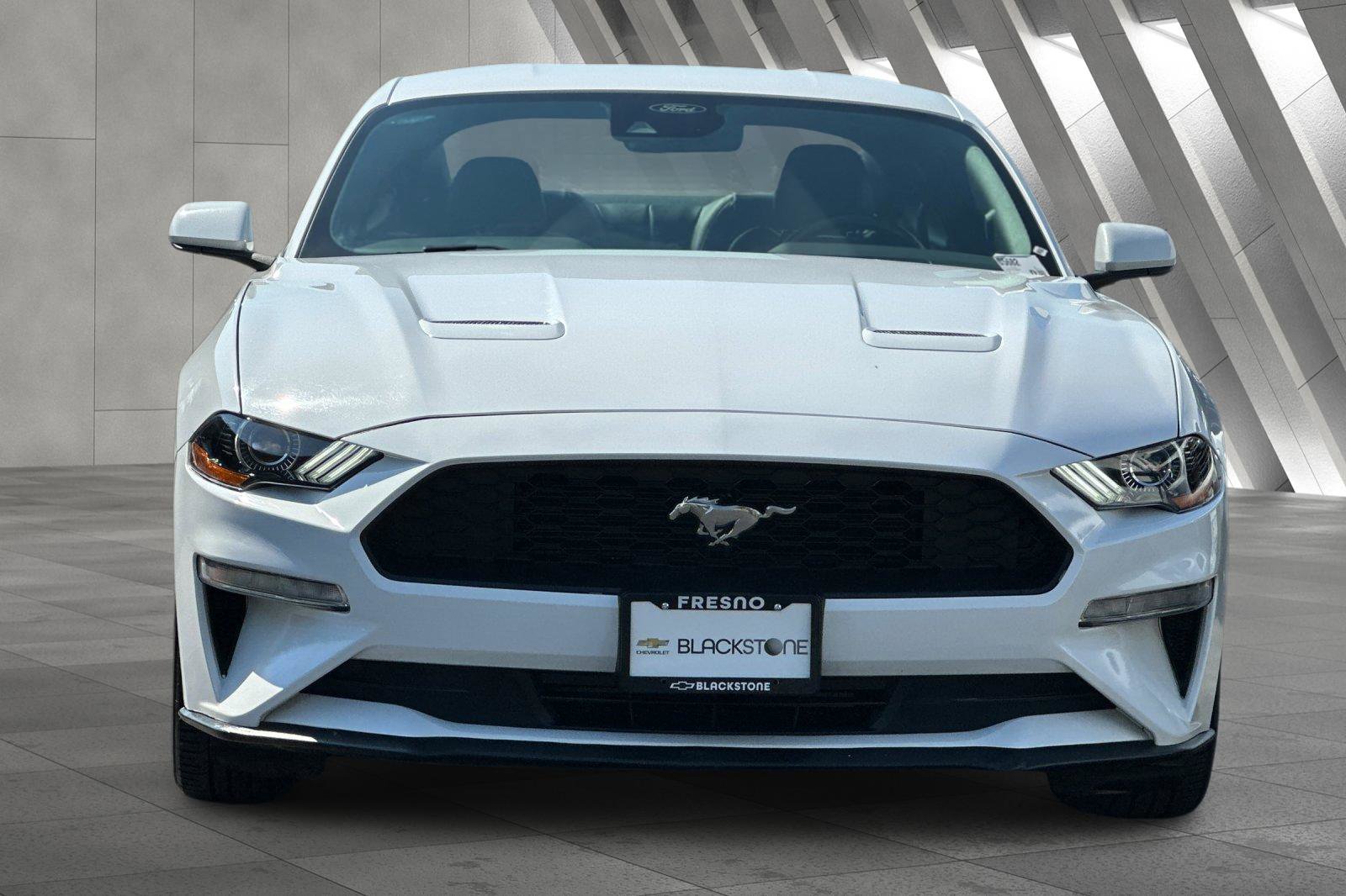2023 Ford Mustang EcoBoost Premium photo 7
