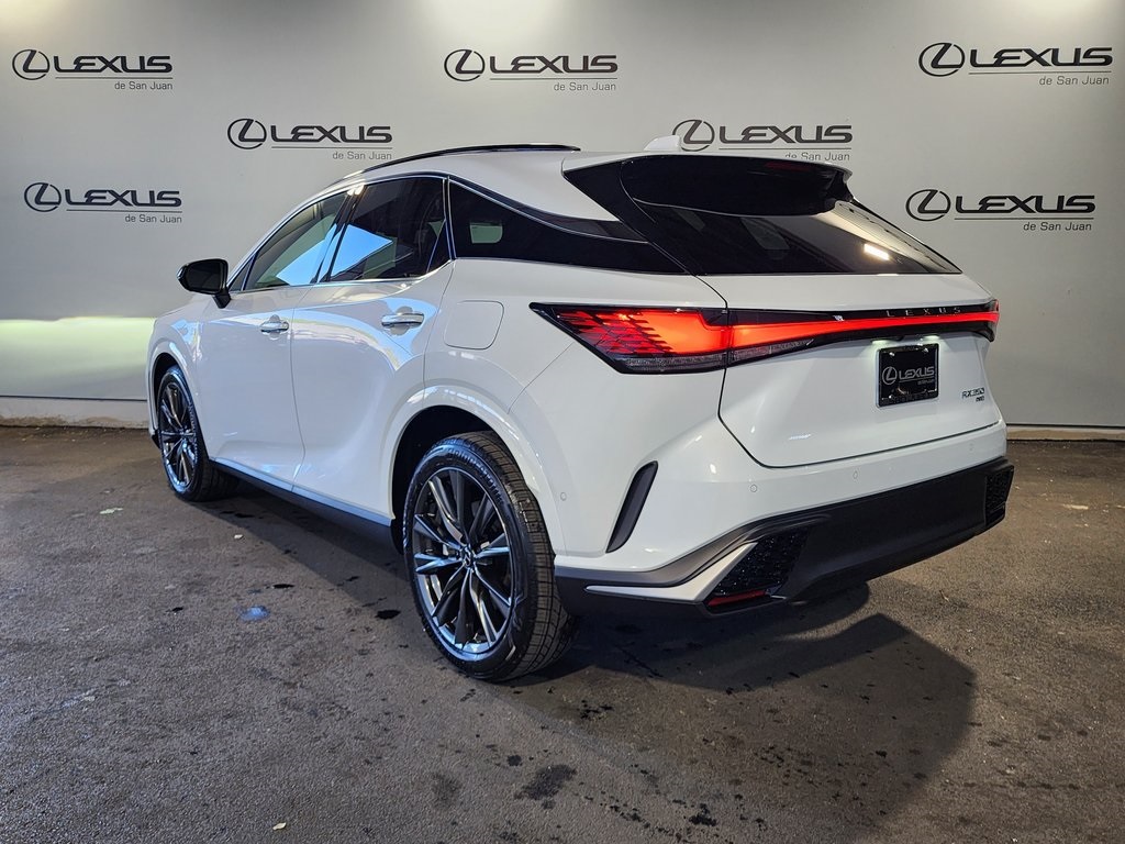 2025 Lexus RX 350 photo 6