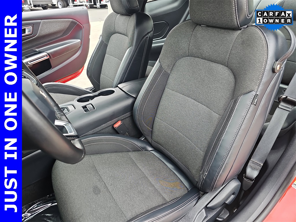 2024 Ford Mustang EcoBoost photo 14