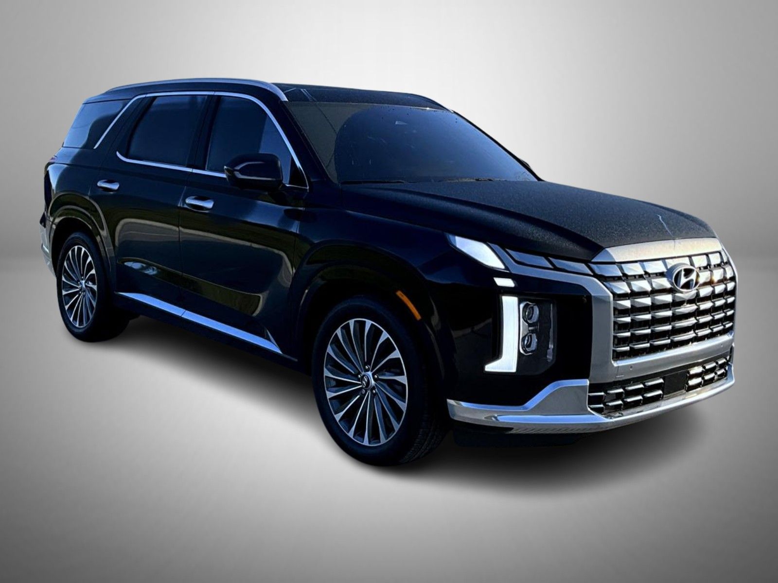 2024 Hyundai Palisade Calligraphy photo 3