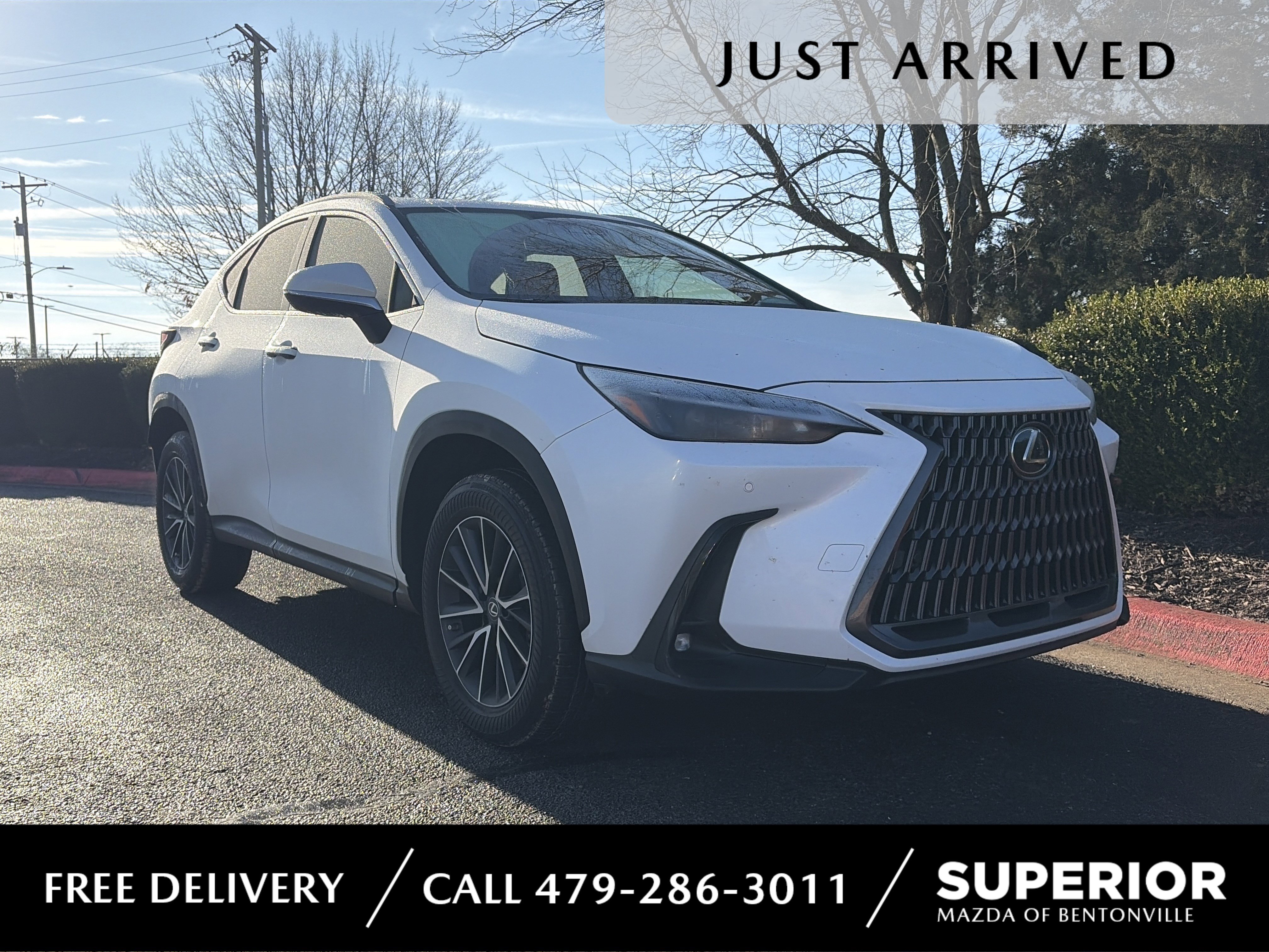 2022 Lexus NX 350's photo