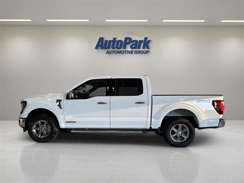 2025 Ford F-150 XLT photo 2