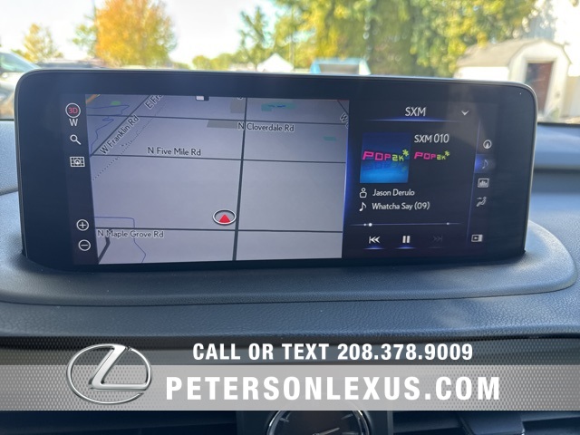 2020 Lexus RX 450h photo 8