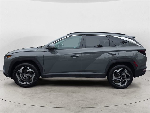 2024 Hyundai Tucson Limited photo 2