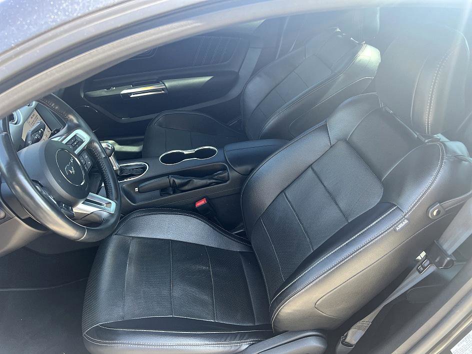 2019 Ford Mustang EcoBoost Premium photo 14