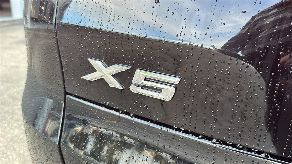 2023 Bmw X5 xDrive45e photo 9