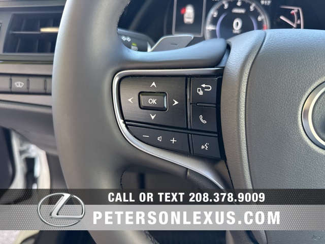 2025 Lexus ES 350 photo 20