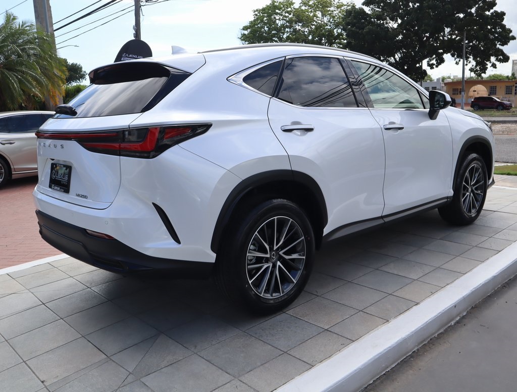 2025 Lexus NX 250 photo 4