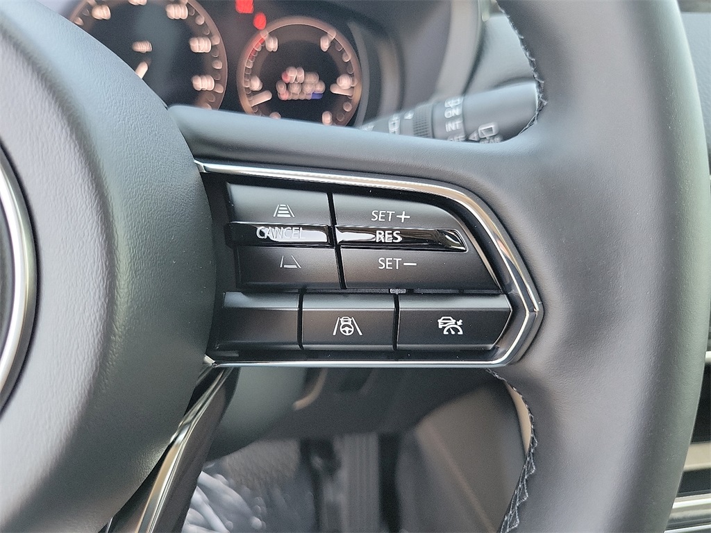 2025 Mazda CX-90 3.3 Turbo Premium photo 8