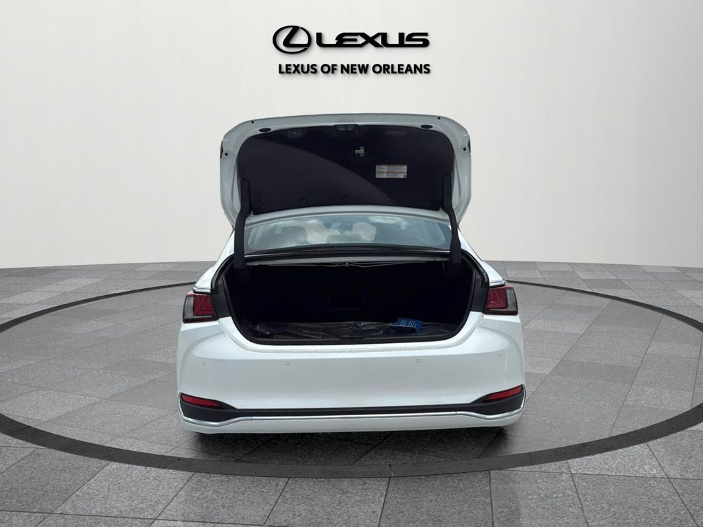 2025 Lexus ES 300h Luxury photo 16