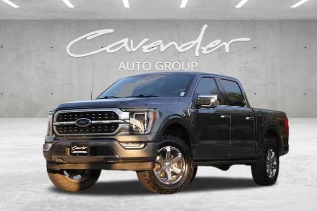 2023 Ford F-150 Platinum's photo