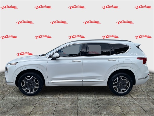 2021 Hyundai Santa Fe Calligraphy photo 6