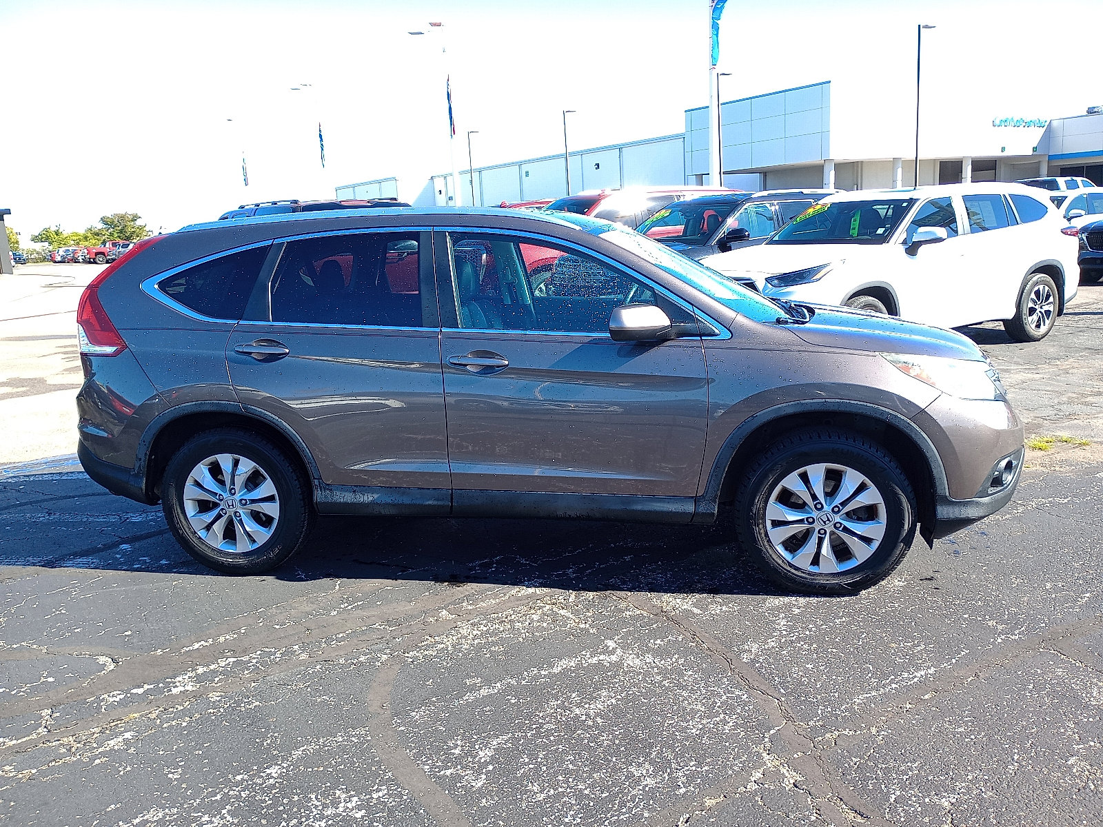 2014 Honda CR-V EX-L photo 2