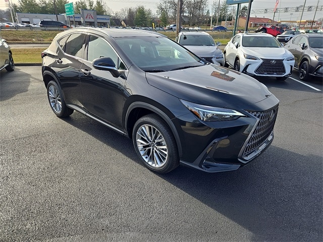 2026 Lexus NX 350's photo