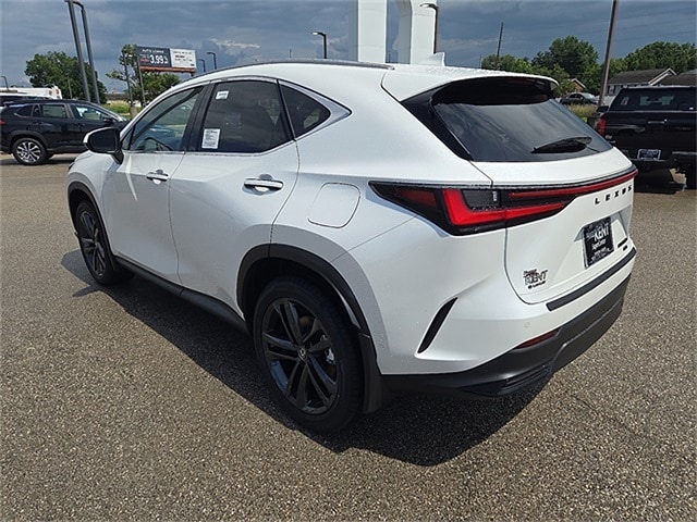 2025 Lexus NX Luxury AWD photo 4