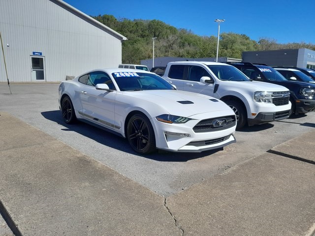 2019 Ford Mustang EcoBoost Premium photo 2