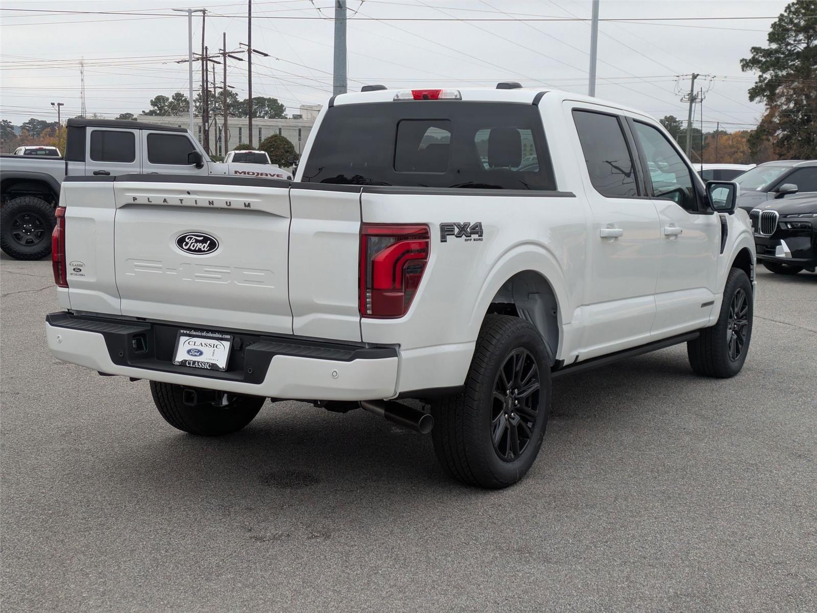 2025 Ford F-150 Platinum photo 3