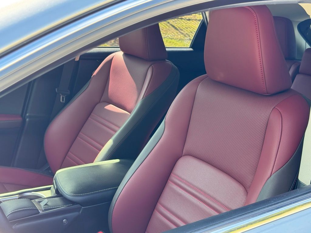 2018 Lexus NX 300 F SPORT photo 18