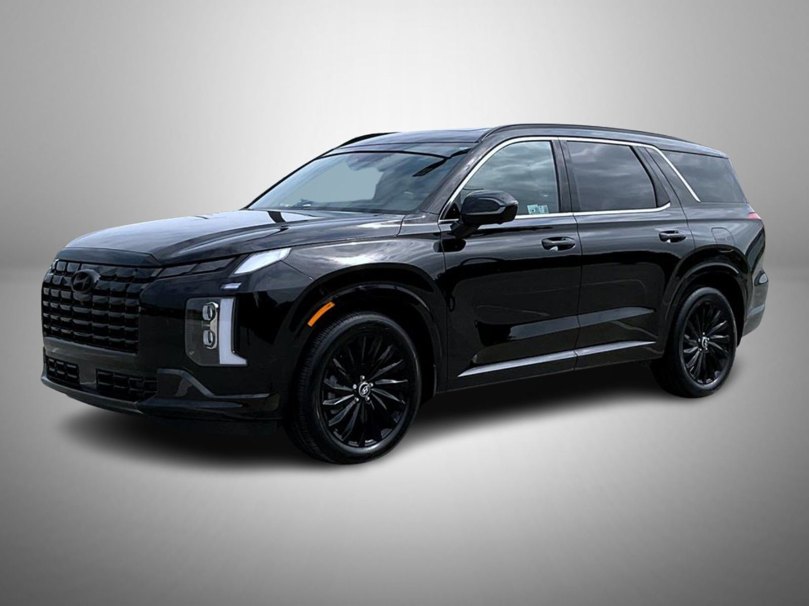 2025 Hyundai Palisade Calligraphy Night Edition's photo