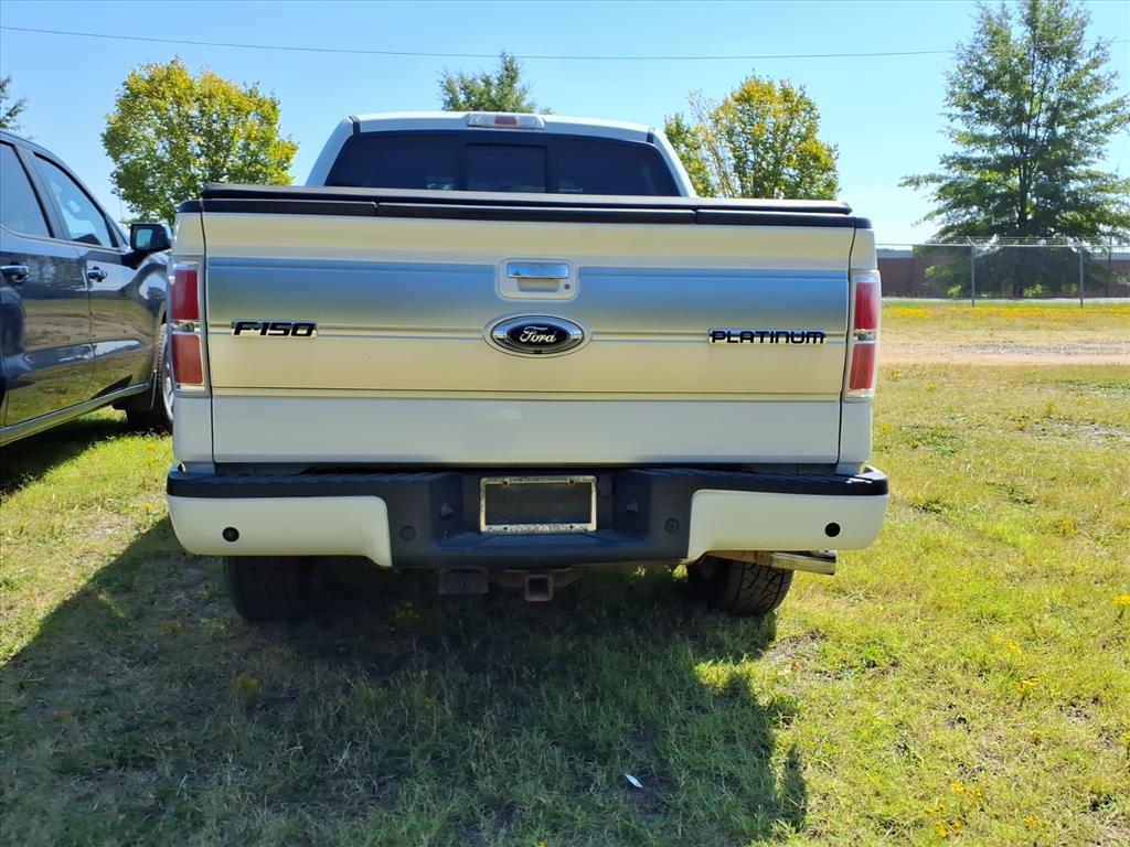 2014 Ford F-150 Platinum photo 3