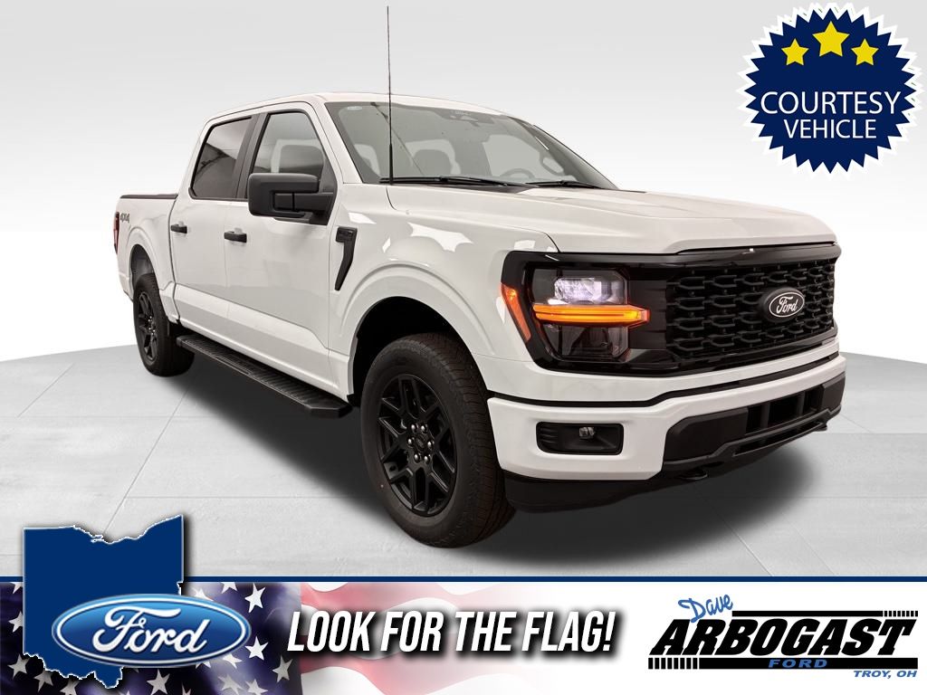 2025 Ford F-150 STX's photo