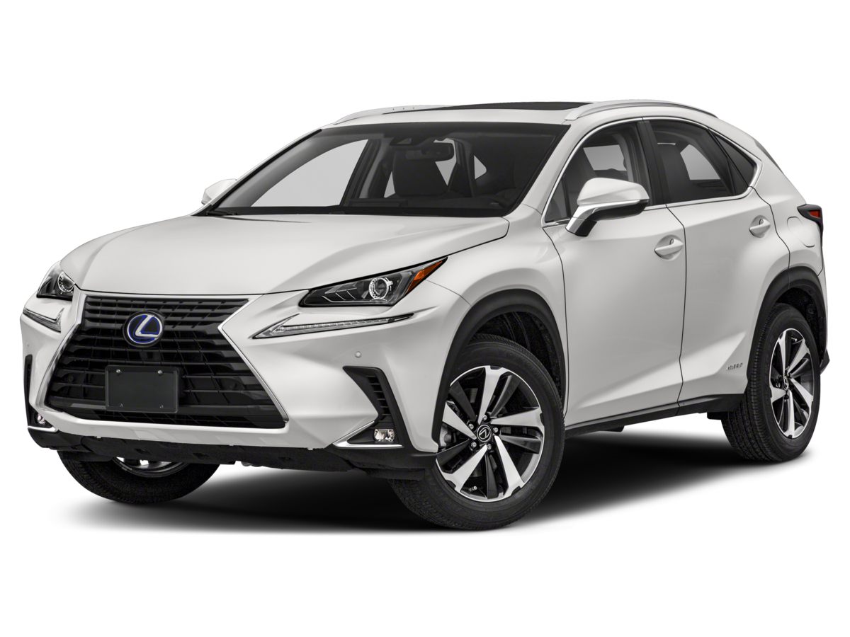 2018 Lexus NX 300 Luxury photo 2