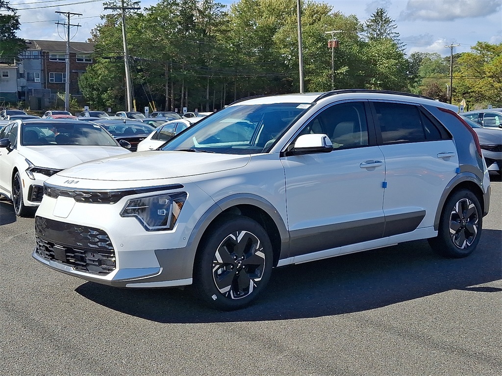 2025 Kia Niro EV Wave photo 2