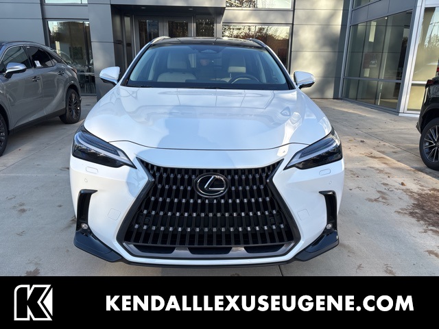 2026 Lexus NX 350's photo