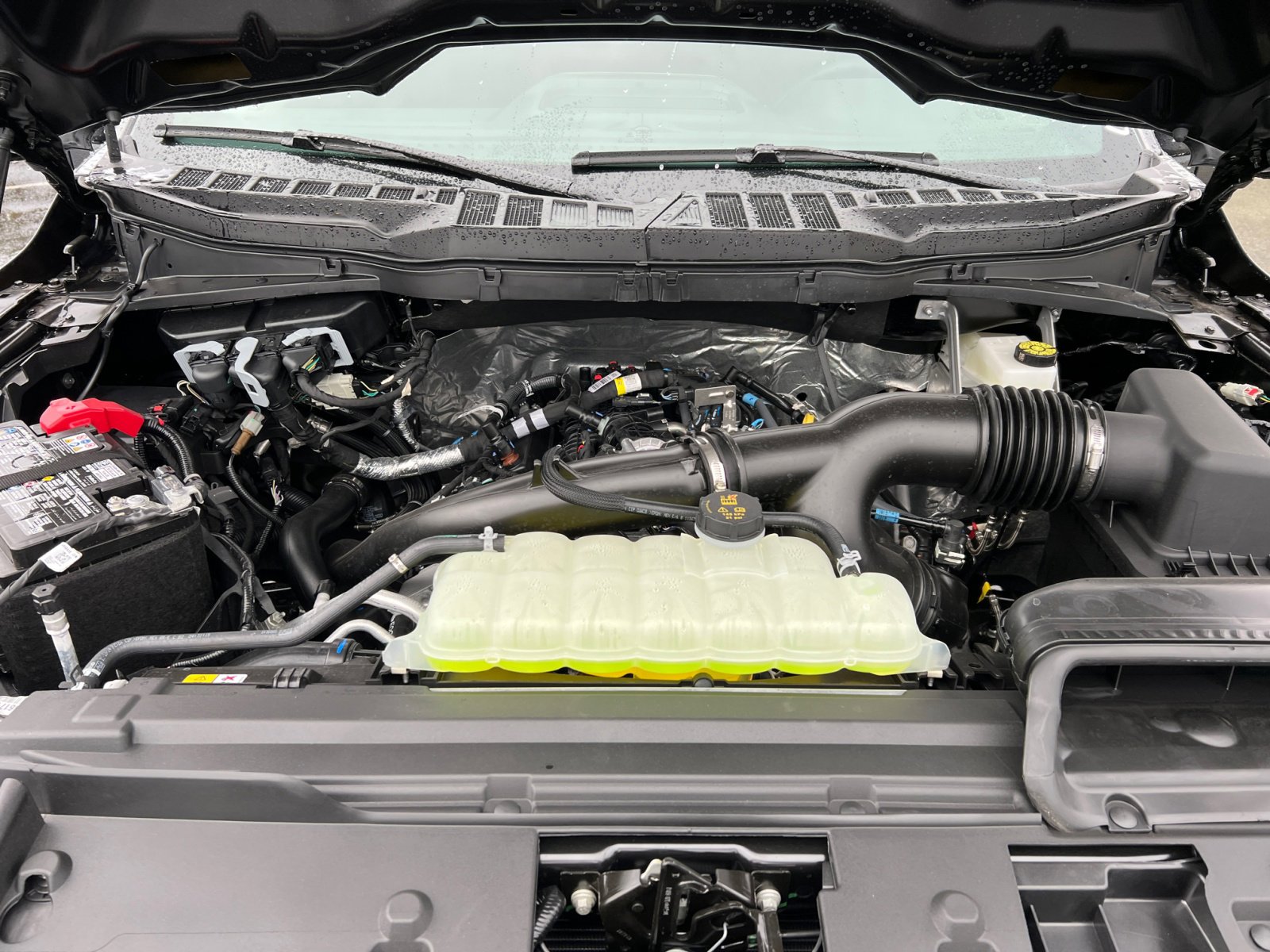 2025 Ford F-150 STX photo 17