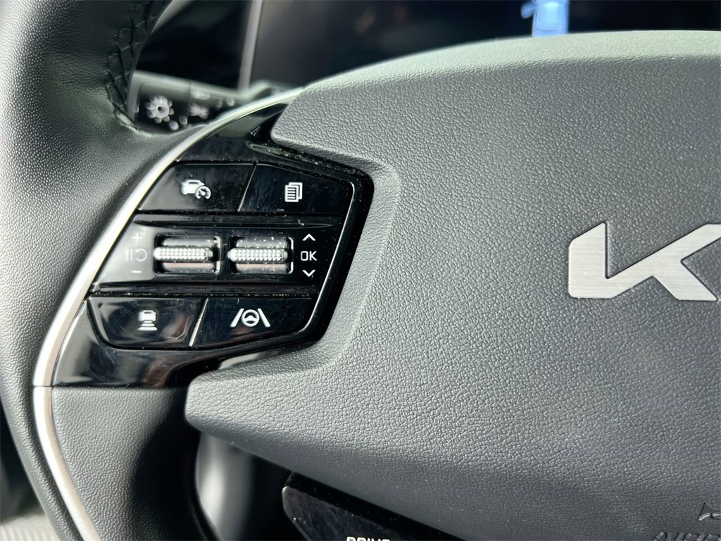 2025 Kia Niro EV Wave photo 15