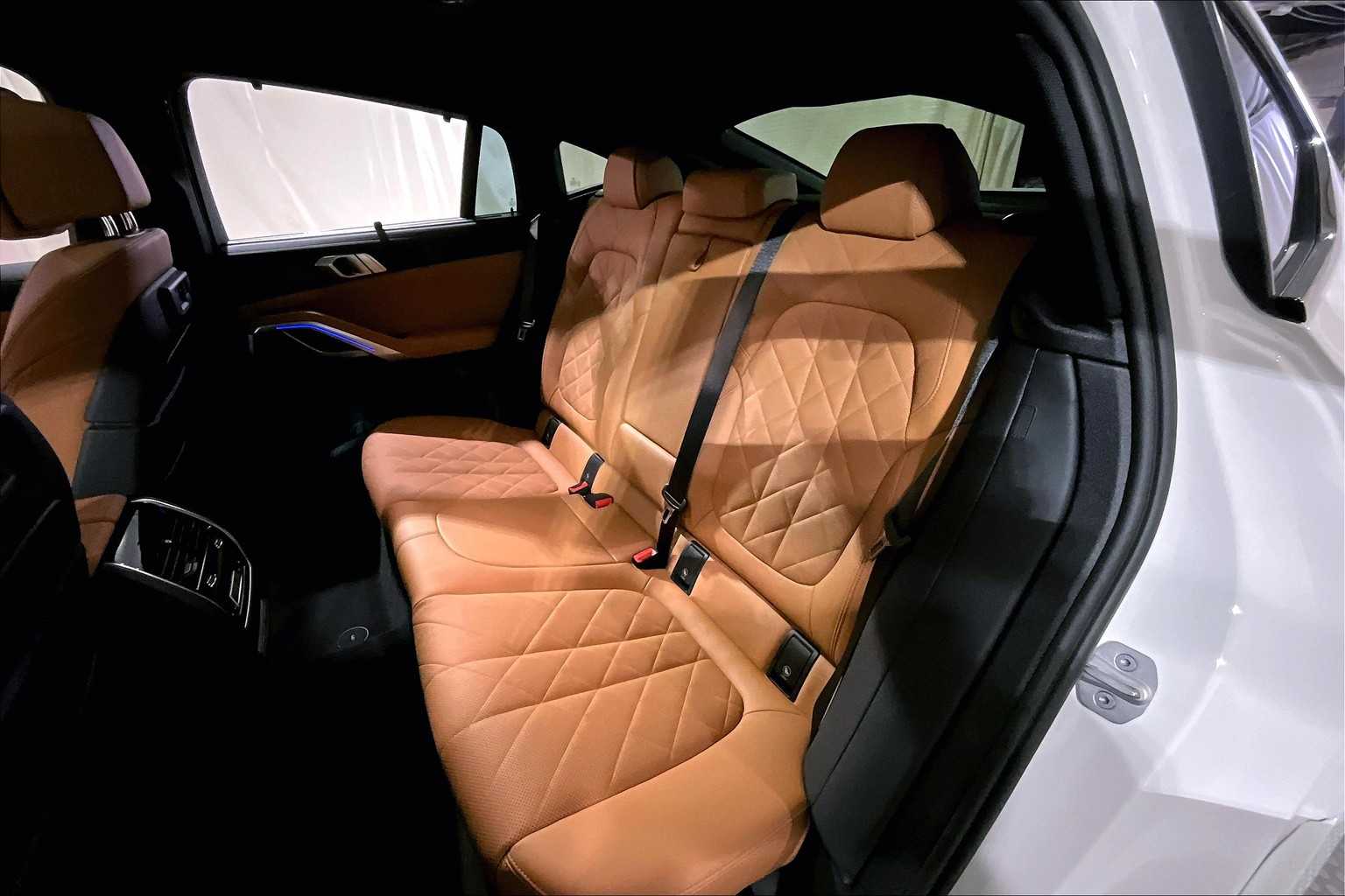 2023 Bmw X6 M50i photo 19