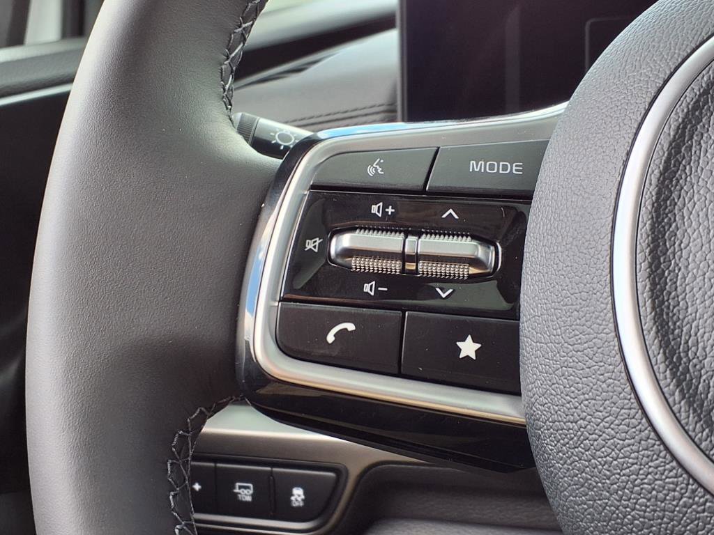 2026 Kia Carnival SX photo 21
