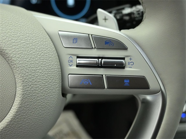 2024 HYUNDAI PALISADE - Image 14