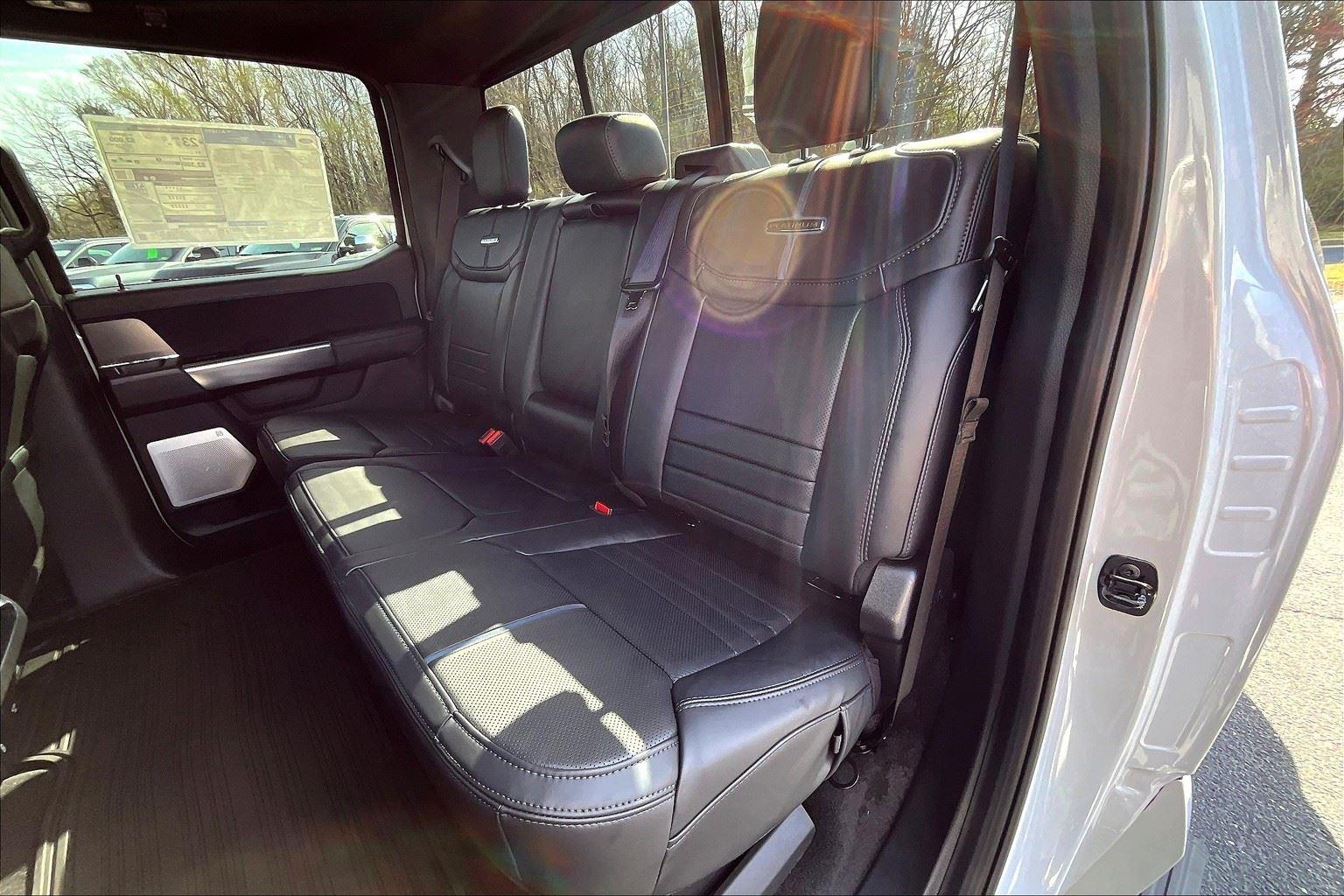 2025 Ford F-150 Platinum photo 10