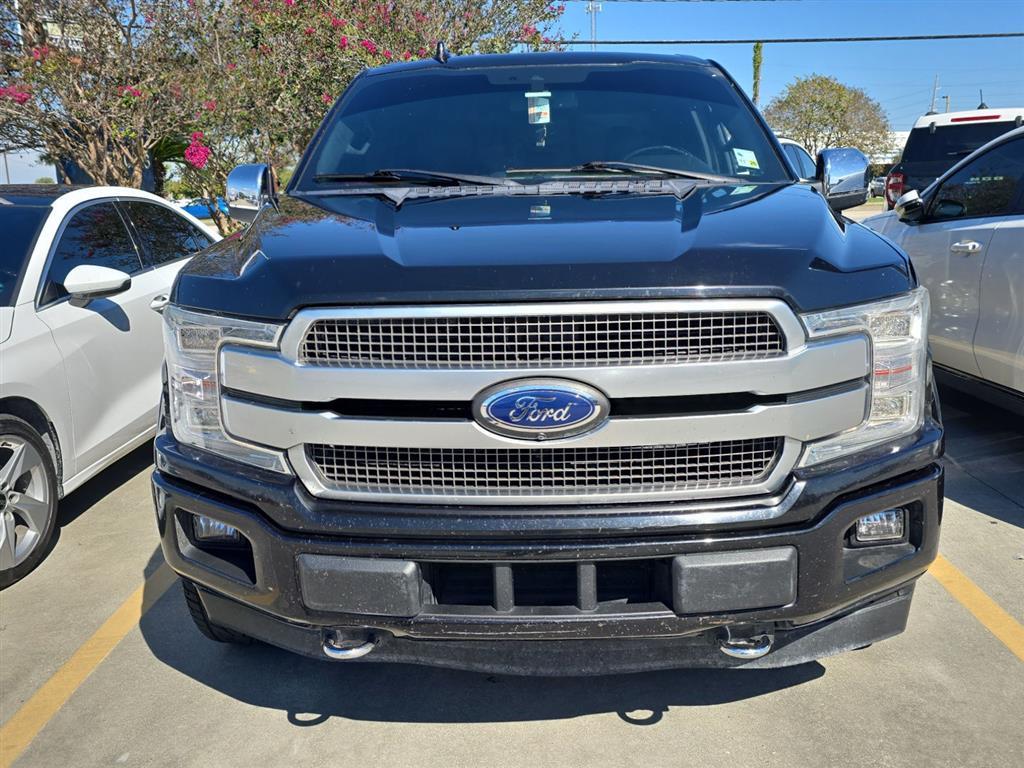 2019 Ford F-150 Platinum photo 2