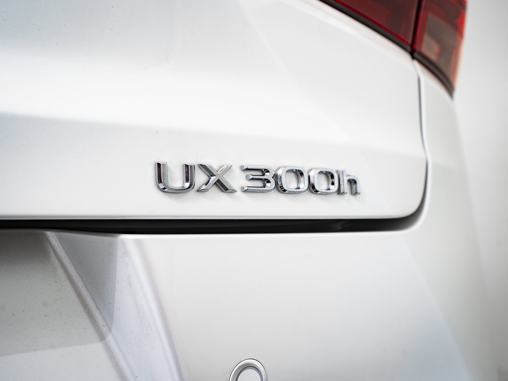 2025 Lexus UX Premium photo 9