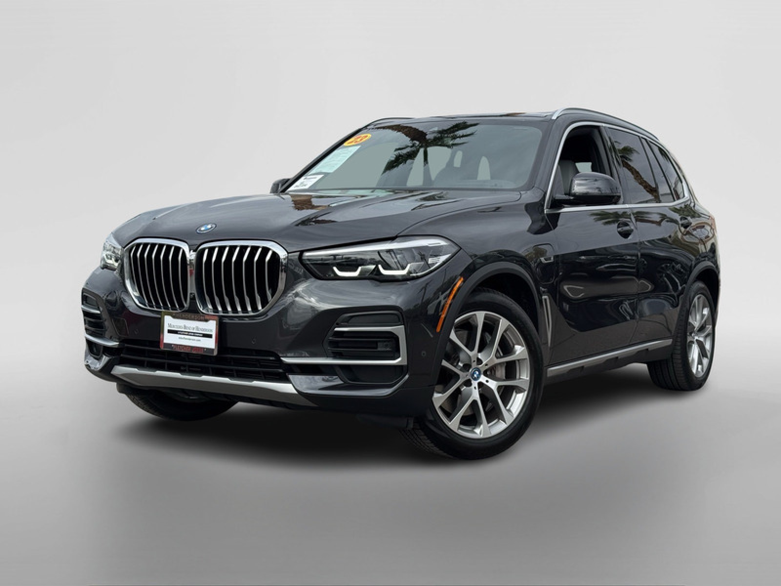 2023 BMW X5