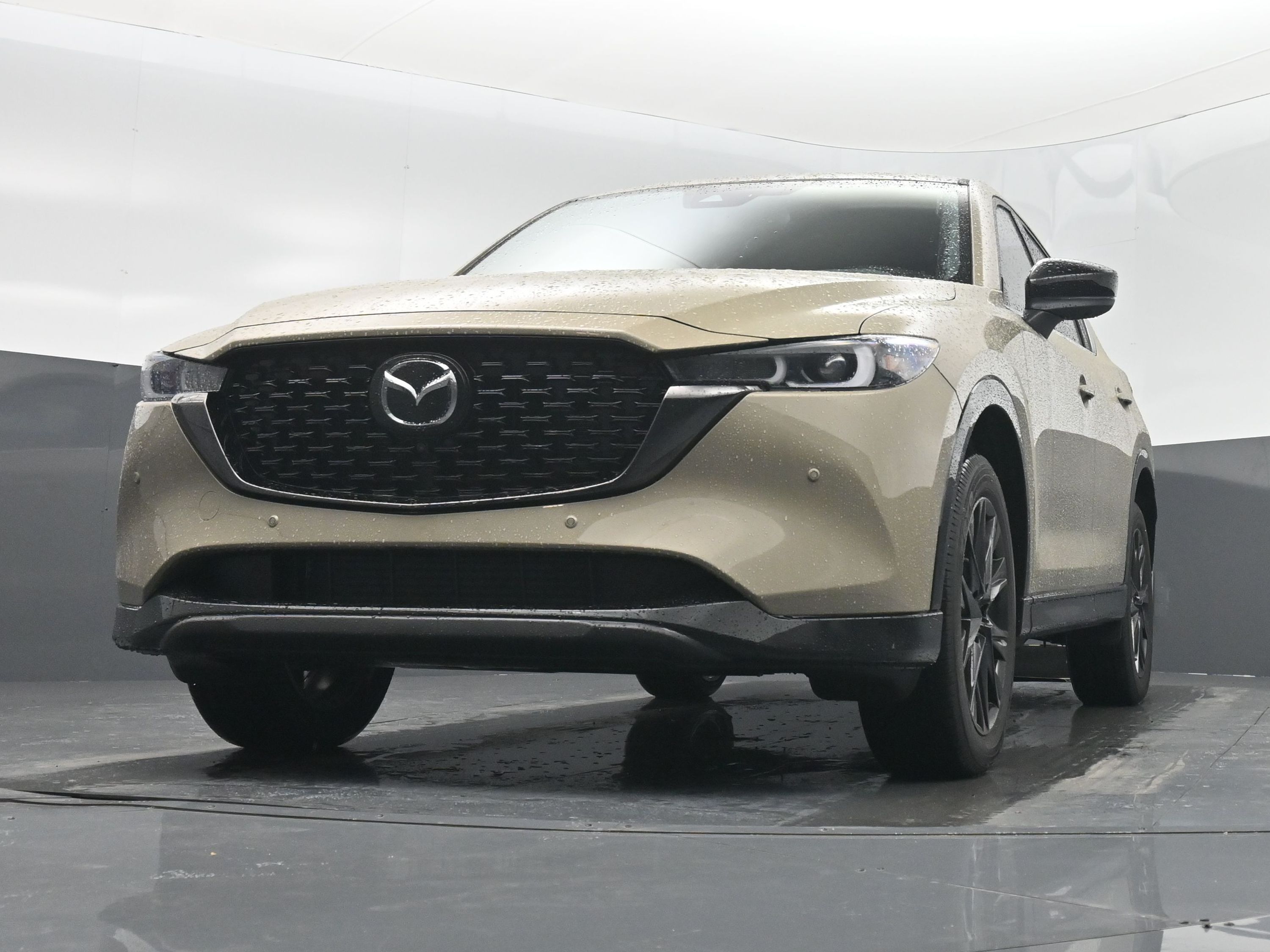 2025 Mazda CX-5 2.5 Carbon Turbo photo 49