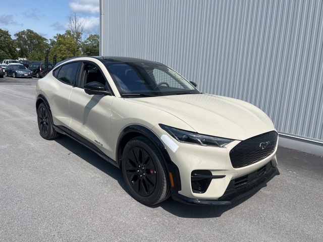 2025 Ford Mustang Mach-E Premium AWD's photo