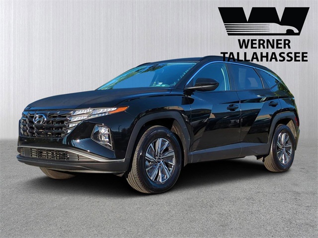 2024 Hyundai Tucson Hybrid Blue photo 2